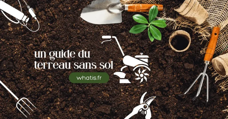 Libérez votre chuchoteur de plantes intérieure : un guide du terreau sans sol